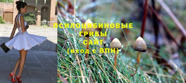 ALPHA-PVP Дмитров