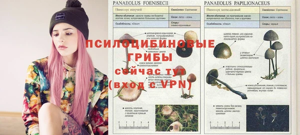 кокаин Дмитровск