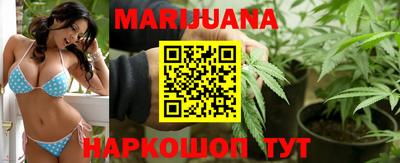 твердый Бийск