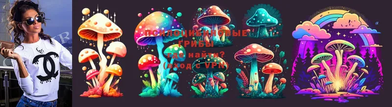 магазин продажи   Еманжелинск  дарк нет формула  Галлюциногенные грибы Psilocybe 