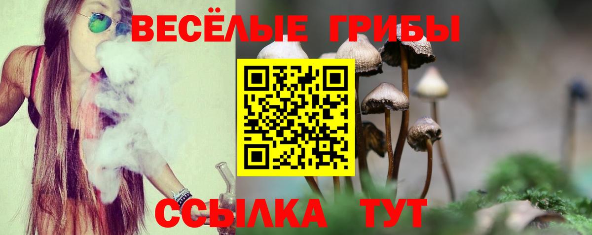 Галлюциногенные грибы мицелий  Вход с VPN  Еманжелинск 
